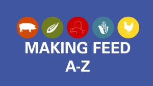 making feed graphic with white text and colored circles