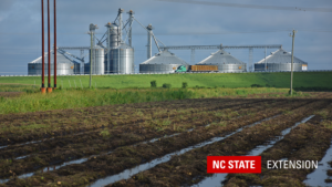 wet fields near grain silo