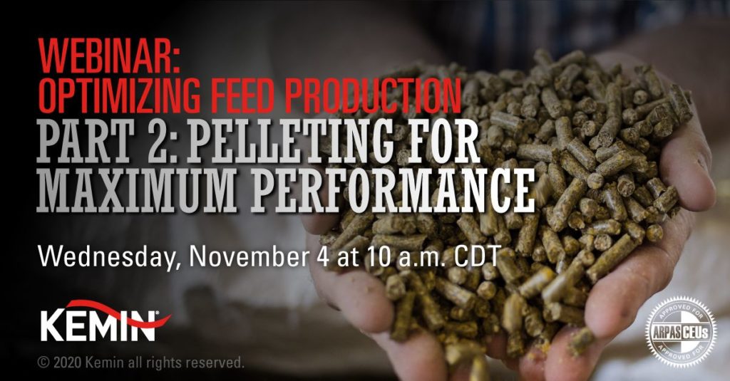 Webinar announcement with text Webinar: Optimizing Feed Production Part 2: Pelleting for Maximum Performance