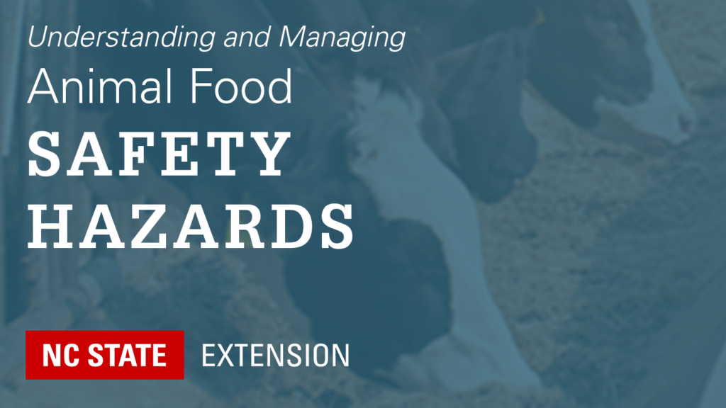 teal overlay on cows eating with text Understanding and Managing Animal Food Safety Hazards