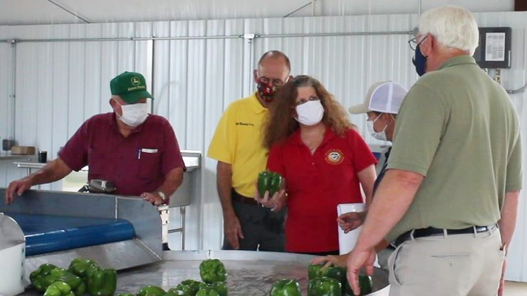 Anita MacMullan and Steve Troxler in masks looking at bell peppers at the Piedmont Research Station