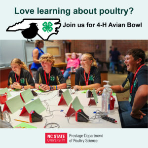 4-H NC youth competing in 4-H Avian Bowl